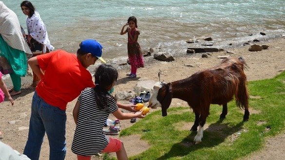 Children feed a goat on the shore of Lake Saiful Muluk. [Qasim Yousafzai]