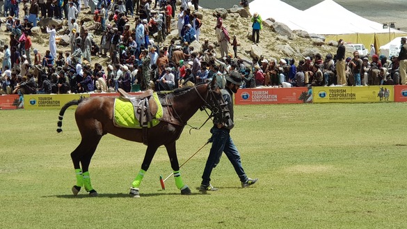 Raja Tahir, 42, a player from Chitral Team C, told Pakistan Forward that he has been playing polo since he was 12. His father once played for the same team. [Danish Yousafzai]