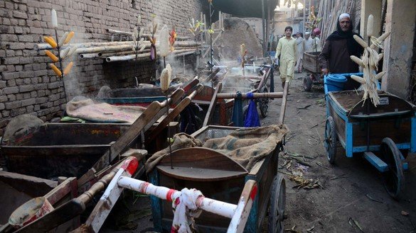 31 اکتوبر میں پشاور میں ایک پھیری والا مکئی سے لدے اپنے ٹھیلے کو دھکیلتے ہوئے۔ [عدیل سعید]