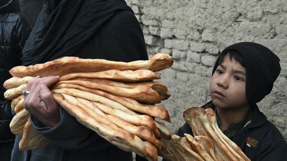 افغانوں کو بھوک سے بچاؤ مہم کابل میں 75 خاندانوں میں مفت نان تقسیم کر رہی ہے۔ [وکیل کوہسار/اے ایف پی]