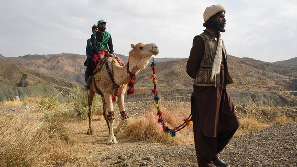 Census officials from the Pakistan Bureau of Statistics ride on a camel as they arrive to collect information on March 23 from Marri tribespeople living in Balochistan province. [Banaras Khan/AFP]