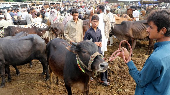 Security measures across Pakistan stepped up ahead of Eid