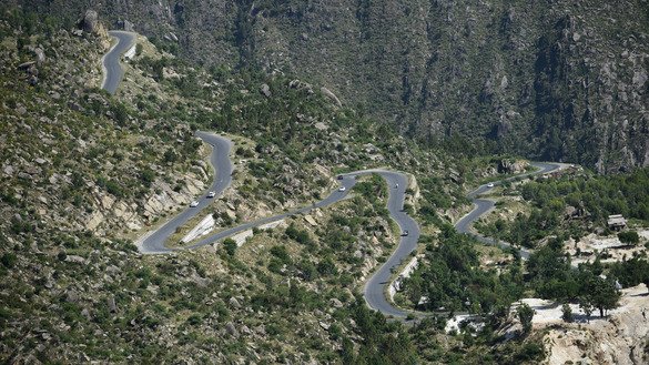 A winding road on a tree plantation in Buner is shown May 18. [Farooq Naeem/AFP]