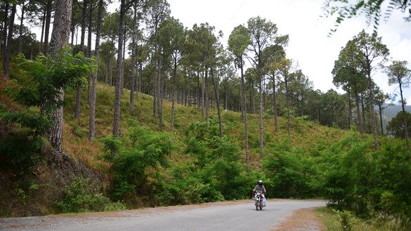 A motorist rides past a forested area of Buner in the Swat Valley May 18. [Farooq Naeem/AFP]