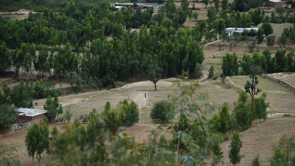 ضلع ہیروشاہ میں 17 مئی کو بچے شجرکاری کردہ ایک علاقے میں کرکٹ کھیلتے ہوئے۔ [فاروق نعیم/اے ایف پی]