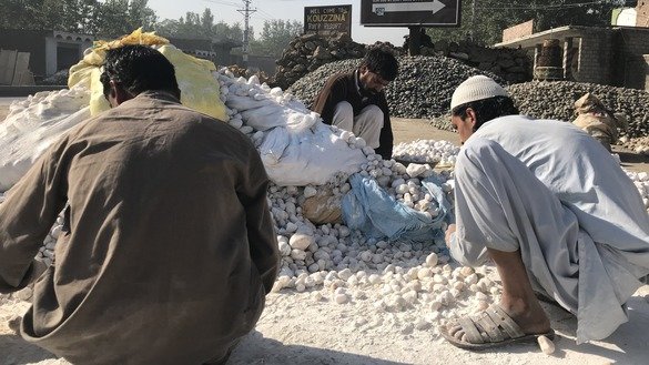 8 نومبر کو ضلع چارسدہ، خیبر پختونخوا میں کارکنان پتھروں کی چھانٹی کر رہے ہیں۔ [نظرالاسلام]