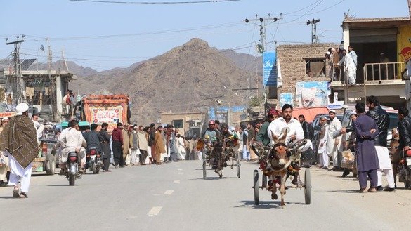 Spectators watch a donkey cart race in Mohmand District March 22. [Alamgir Khan]