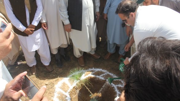 Deputy Commissioner Bajaur Usman Mehsud waters a newly planted tree on August 18. [Hanif Ulah] 