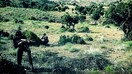 پاکستان د افغانستان څخه غوښتنه کوي چې د پولې هاخوا د تحريک طالبان پاکستان په وړاندې اقدامات وکړي