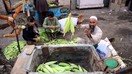 تصاویر میں: ریت میں بھنی ہوئی مکئی موسمِ سرما کے دوران ایک خوش ذائقہ گرماہٹ لاتی ہے