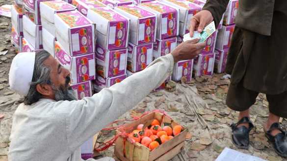 3 دسمبر کو ضلع مہمند میں ایک کسان جاپانی پھل کے کریٹ ایک گاہک کو فروخت کرتے ہوئے۔ [عالمگیر خان]