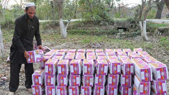 3 دسمبر کو ضلع مہمند میں ایک مزدور جاپانی پھل کے کریٹوں کو منڈی میں بھیجنے سے قبل انہیں ترتیب سے رکھ رہا ہے۔ [عالمگیر خان]