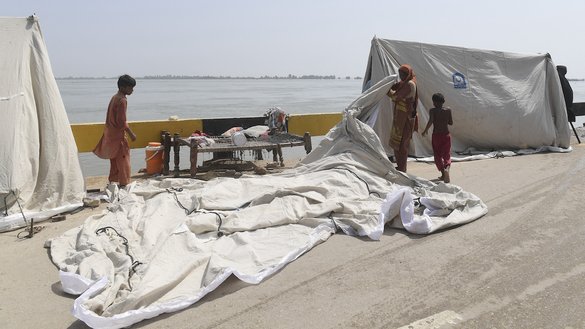 صوبہ سندھ کے شہر سکھر میں 29 اگست کو، مون سون کی شدید بارشوں کے بعد، اپنے سیلاب زدہ گھروں کو چھوڑ کر آنے والے، بے گھر خاندان عارضی کیمپ میں خیمہ لگانے کی تیاری کر رہے ہیں۔ [آصف حسن/اے ایف پی]